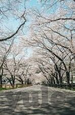 mk体育mk-mk体育，构建运动的未来